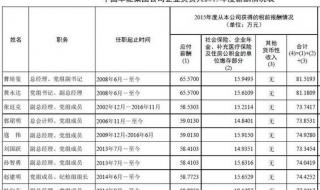 华润集团董事长什么级别