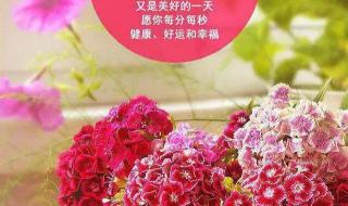 2月29日有什么特殊含义