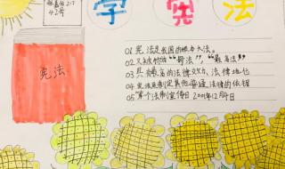 小学生宪法手抄报简单