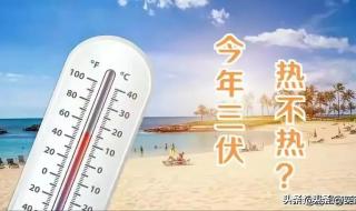 今天是2024三伏天最后一天